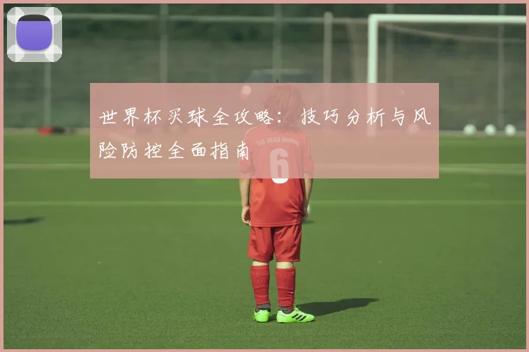 世界杯买球全攻略：技巧分析与风险防控全面指南