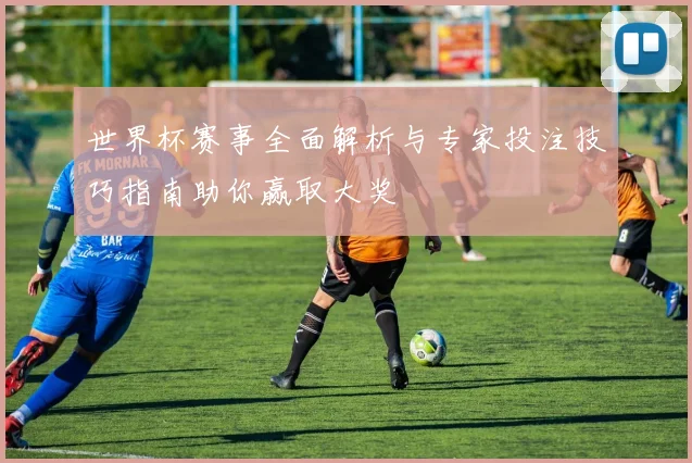 世界杯赛事全面解析与专家投注技巧指南助你赢取大奖