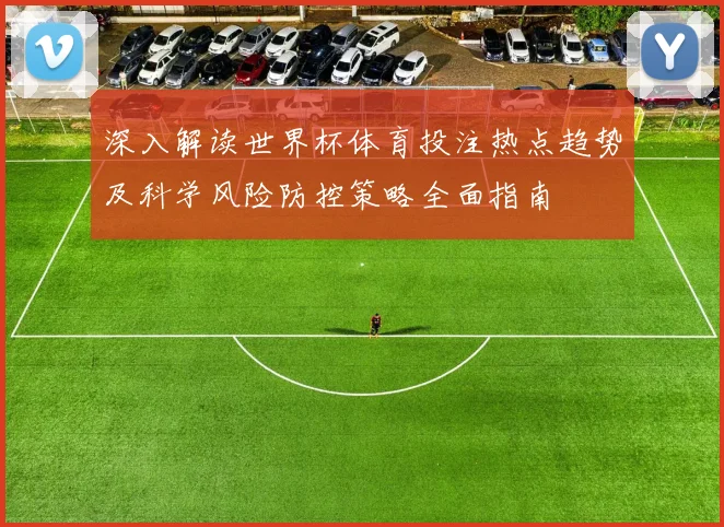 深入解读世界杯体育投注热点趋势及科学风险防控策略全面指南