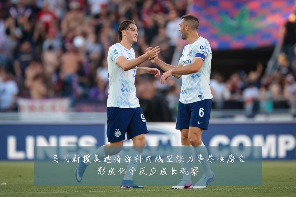 乌戈新援莱迪将弥补内线空缺力争尽快磨合形成化学反应成长观察