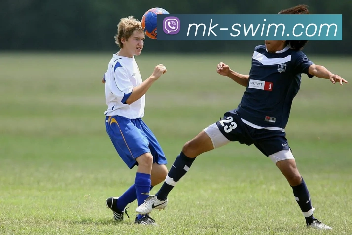 MK体育平台展示图